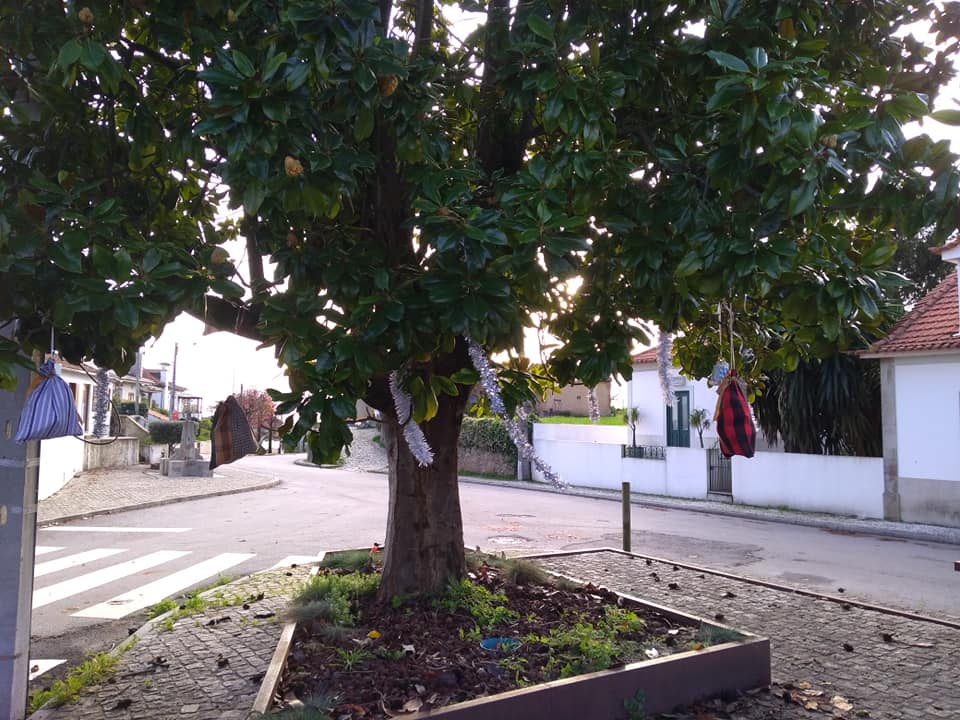Decoração de Espaços Verdes