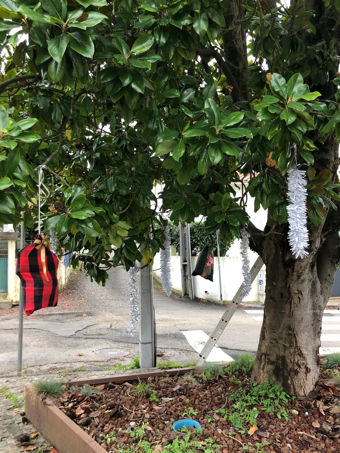 Decoração de Espaços Verdes