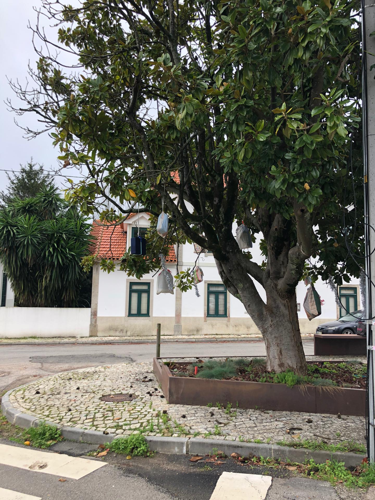 Decoração de Espaços Verdes