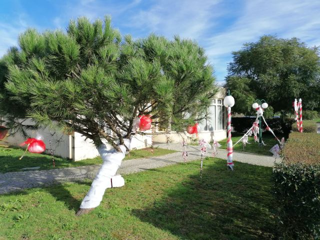 Decoração de Espaços Verdes