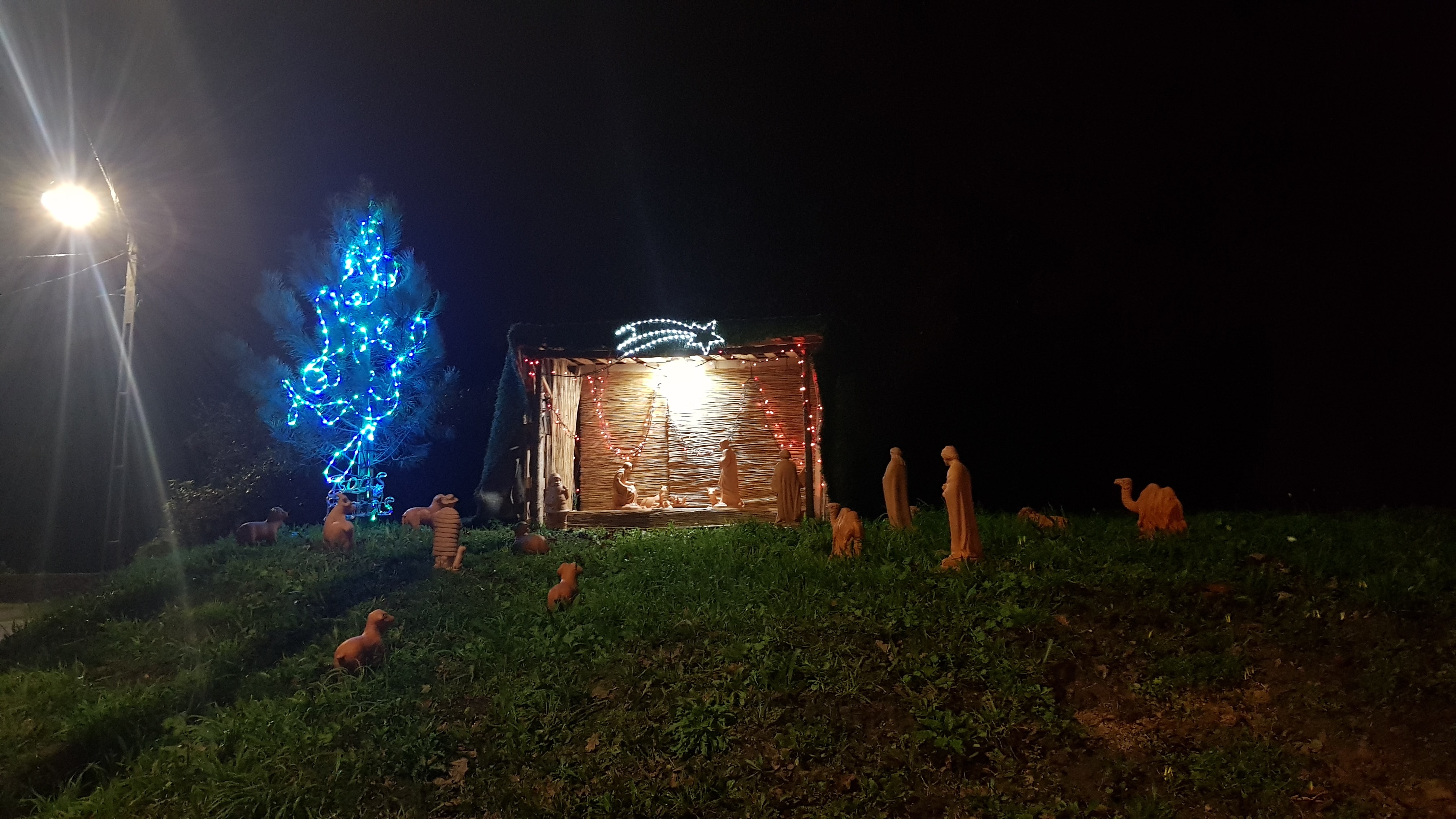 Decoração de Espaços Verdes